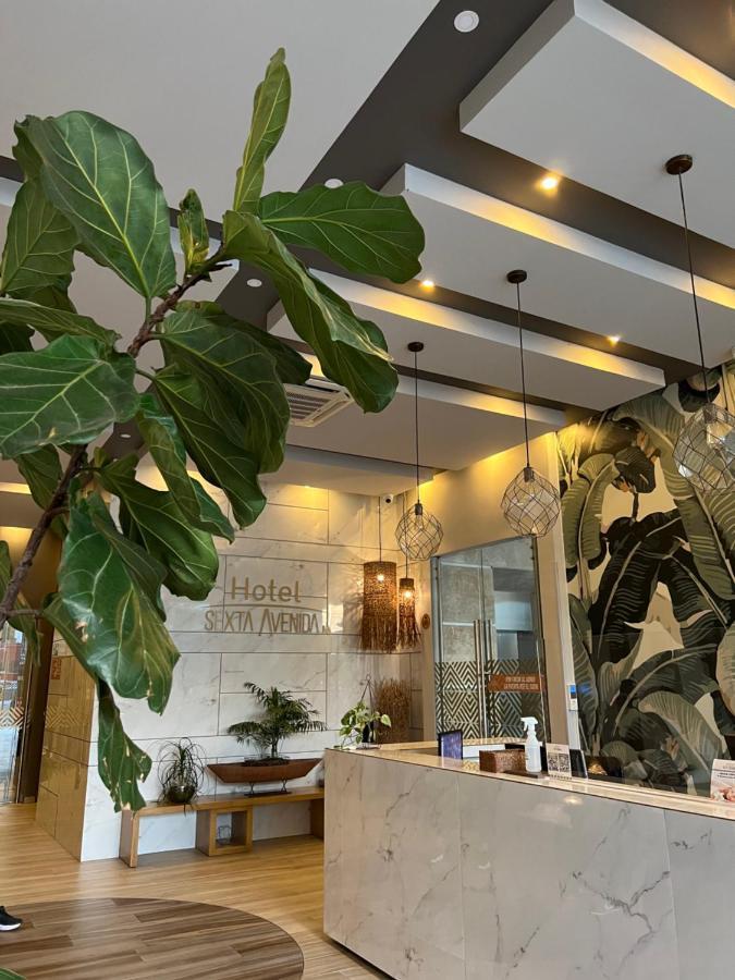 Hotel Sexta Avenida Inn Montería Eksteriør bilde